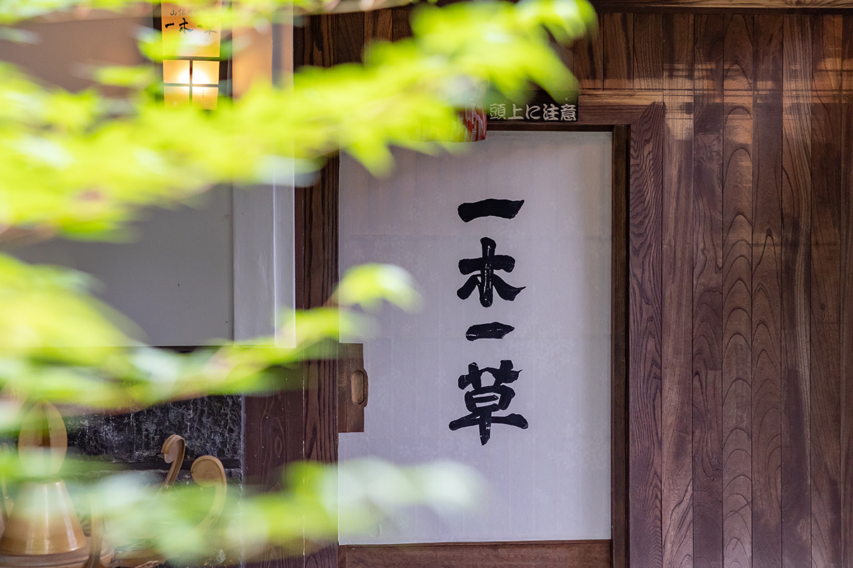 山懐の宿 一木一草 — 山鹿平山温泉 · 全8室の離れ、囲炉裏間と名物の洞窟風呂