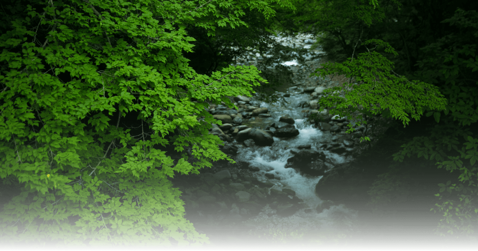 別邸 仙寿庵 — 群馬・谷川温泉 · 全室独立棟構成で谷川岳を借景にする現代の離れ旅館