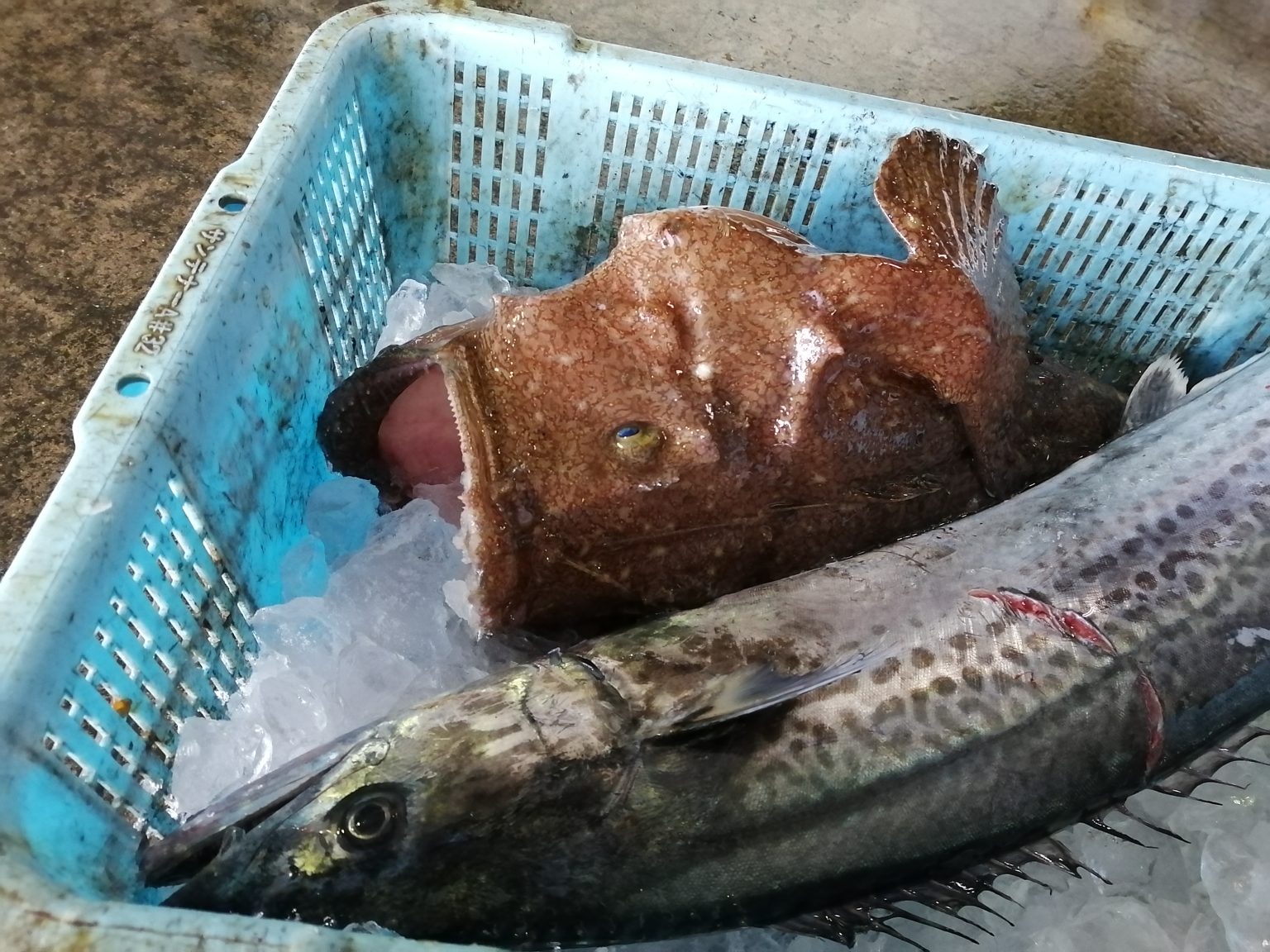 伊根海宿 舟音 — 京都府伊根町・伊根漁港前 築75年の舟屋を改装した小宿