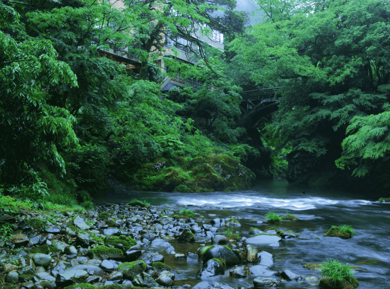 みやこわすれの宿 こおろぎ楼 — 加賀市山中温泉・鶴仙渓沿い、七室のみの離れ形式旅館
