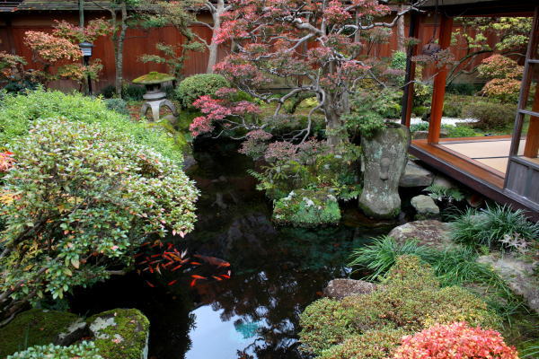 旅館かみなか — 中庭、苔と石の取り合わせ