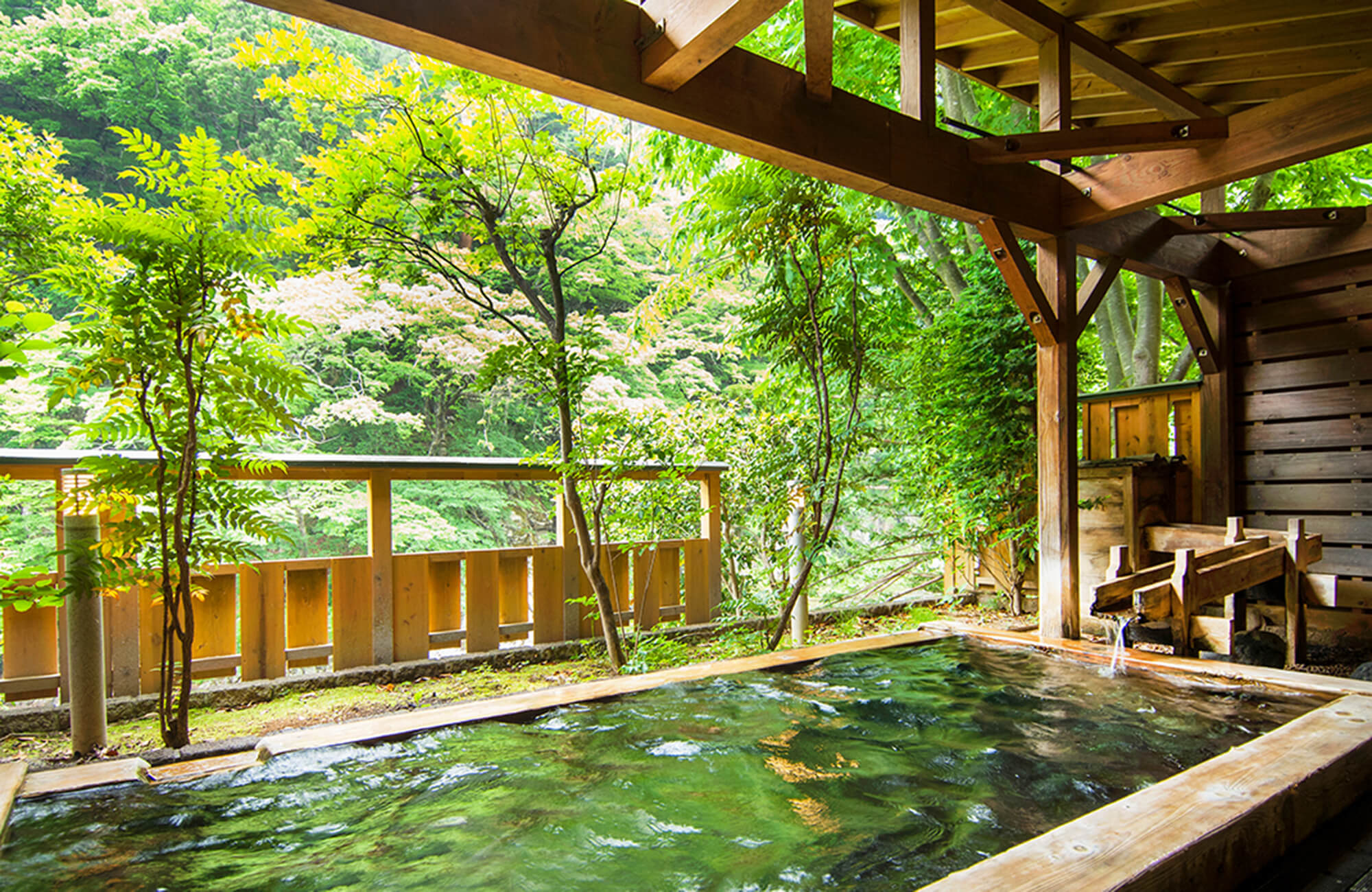 松楓楼 松屋 — 塩原・福渡温泉 · 創業140年、箒川渓谷に面する露天風呂群