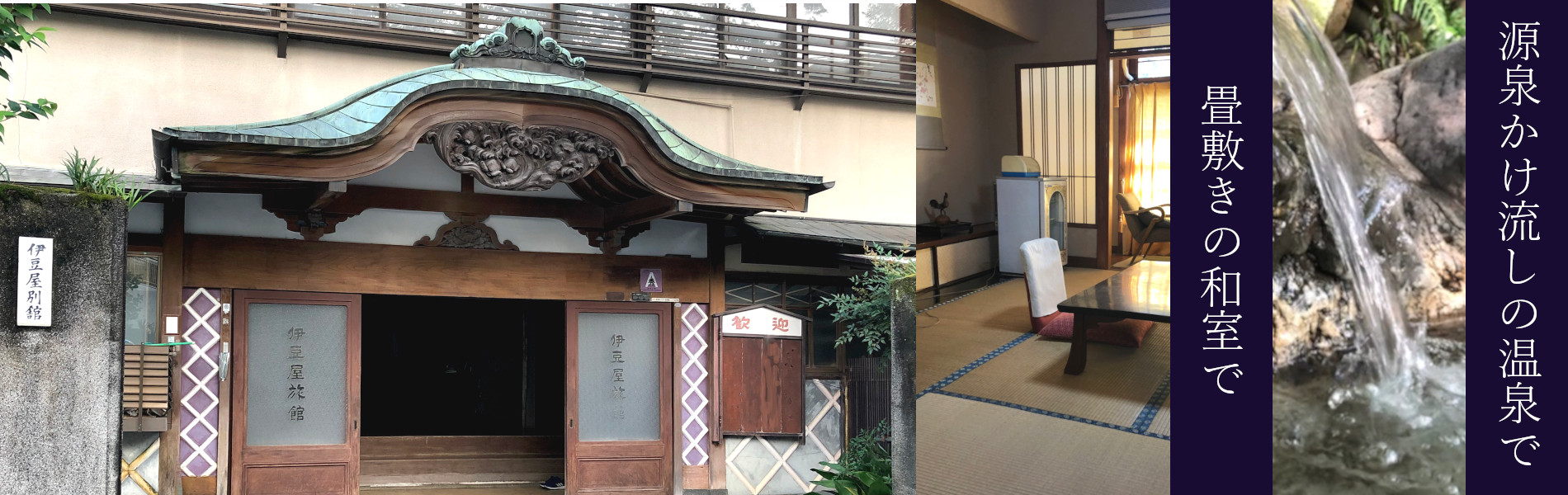 伊豆屋旅館 — 湯河原温泉 · 享保年間創業、自家源泉と混浴大野天をもつ昭和の木造旅館