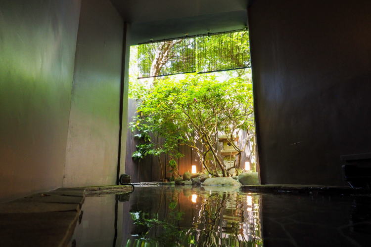 新井旅館 — 伊豆市修善寺 · 青葉を映す内湯、天平大浴堂の湯口