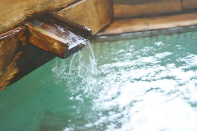 旅館 三之亟湯 — 中山平温泉 · 純重曹泉 pH8.4 の美肌湯