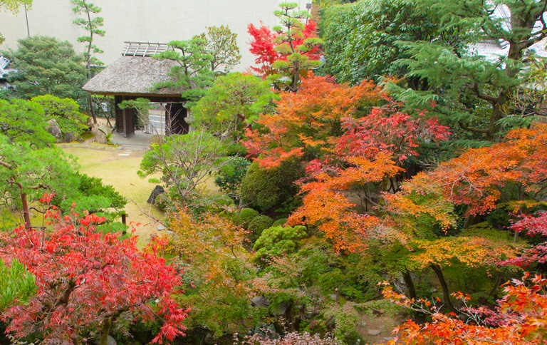 道後温泉 ふなや — 松山・道後湯之町 · 寛永四年創業、千五百坪の庭園「詠風庭」を擁する老舗旅館