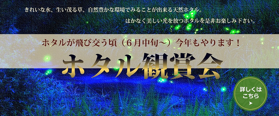 佳泉郷 井づつや — 湯村温泉・湯 · 荒湯を望む高台、八つの湯処を持つ湯村随一の大湯宿