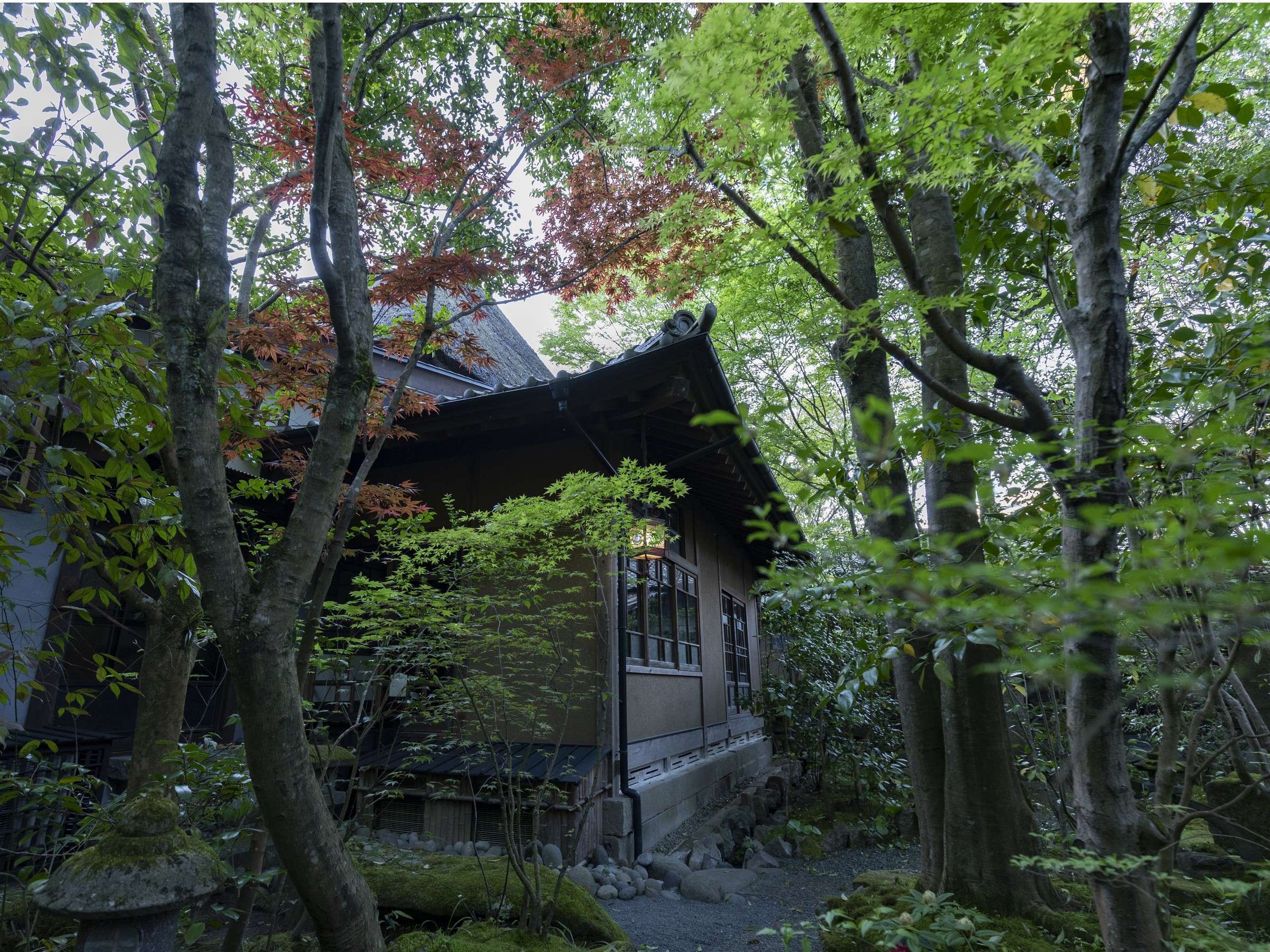 旅籠かやうさぎ — 日田市琴平町 · 木立に包まれた離れ棟の外観
