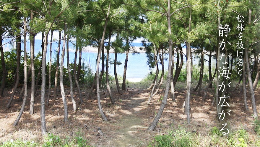みなみ旅館 — 佐渡市住吉・両津湾 · 住吉温泉に湯を引く海沿いの料理旅館