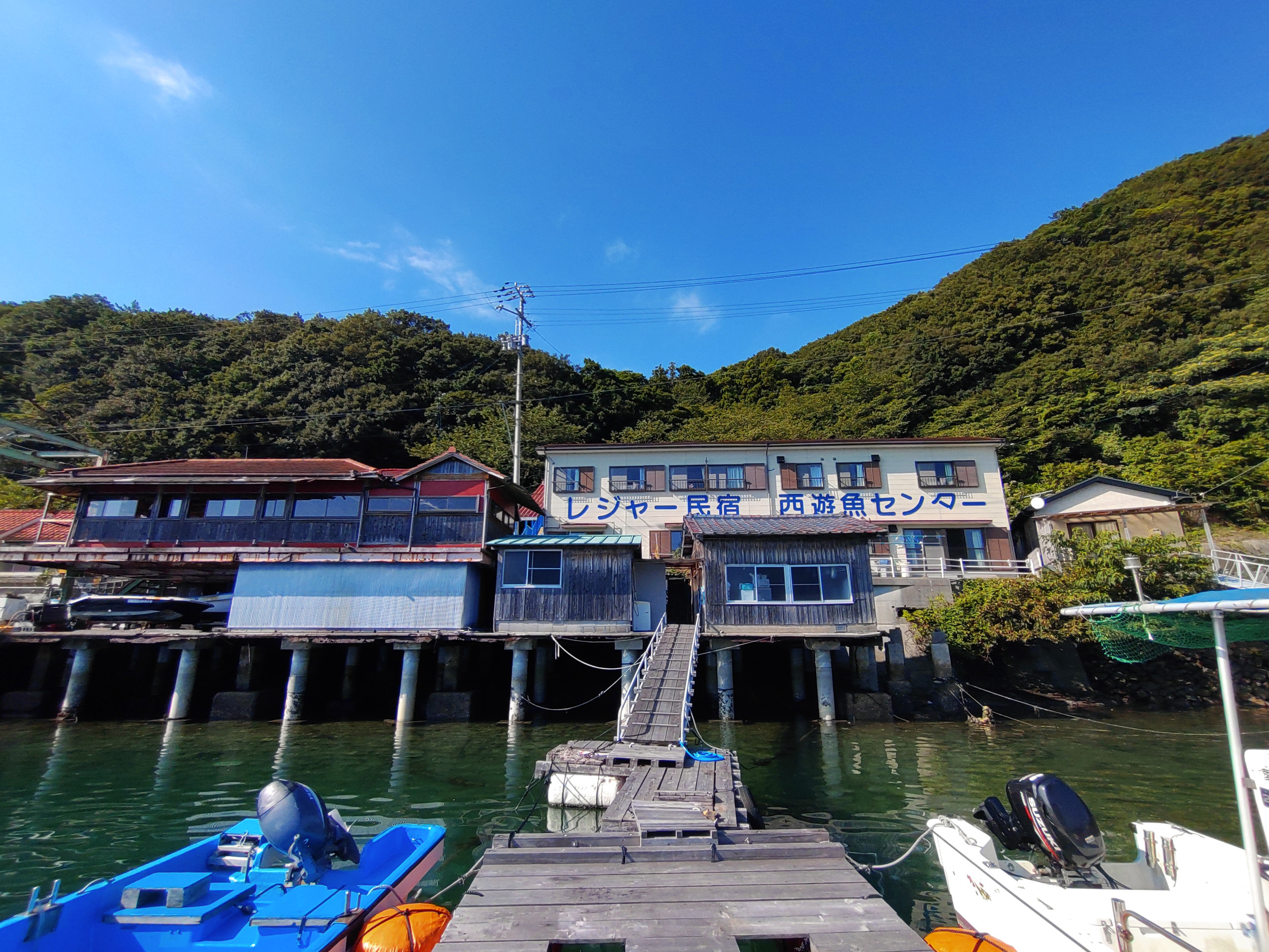 西遊漁センター — 宇和島市津島町針木 · 漁師が営む宇和海の入江の宿、釣りと地魚の膳を擁す