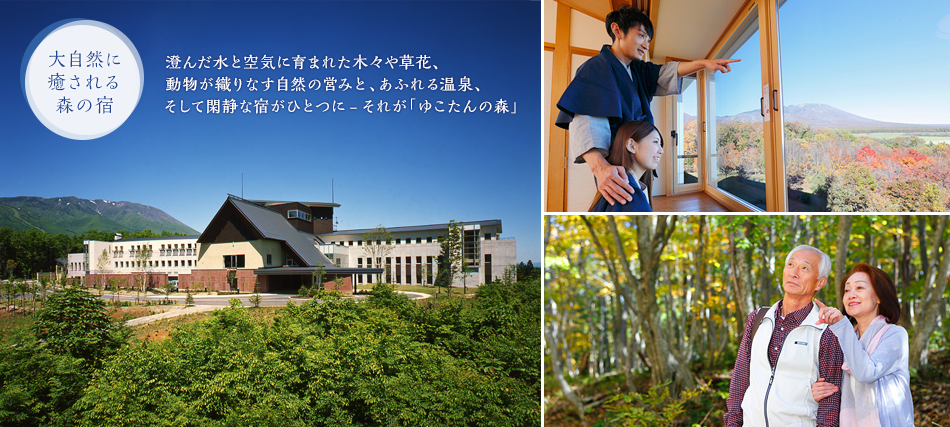 ゆこたんの森 — 岩手・雫石 南網張ありね温泉 · 駒ヶ岳北麓の森に抱かれた檜と岩の湯