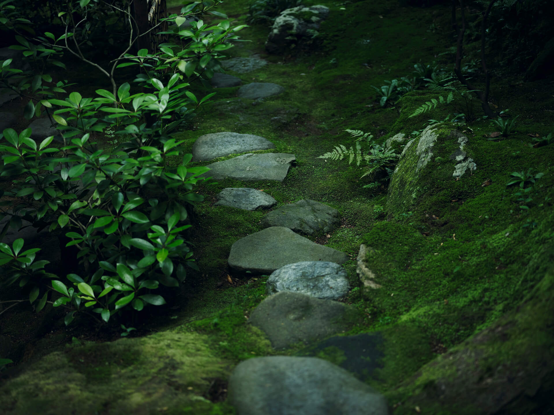 べにや無何有 — 加賀・山代温泉 · 山庭を囲む全十六室、各室に山庭を望む温泉露天を備えた数寄屋の宿