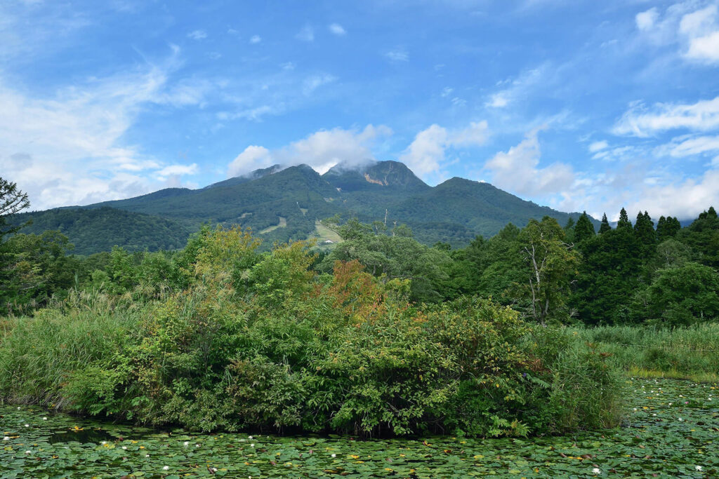 赤倉温泉 お宿ふるや — 妙高市・赤倉 · 自家源泉と妙高山を望む湯宿