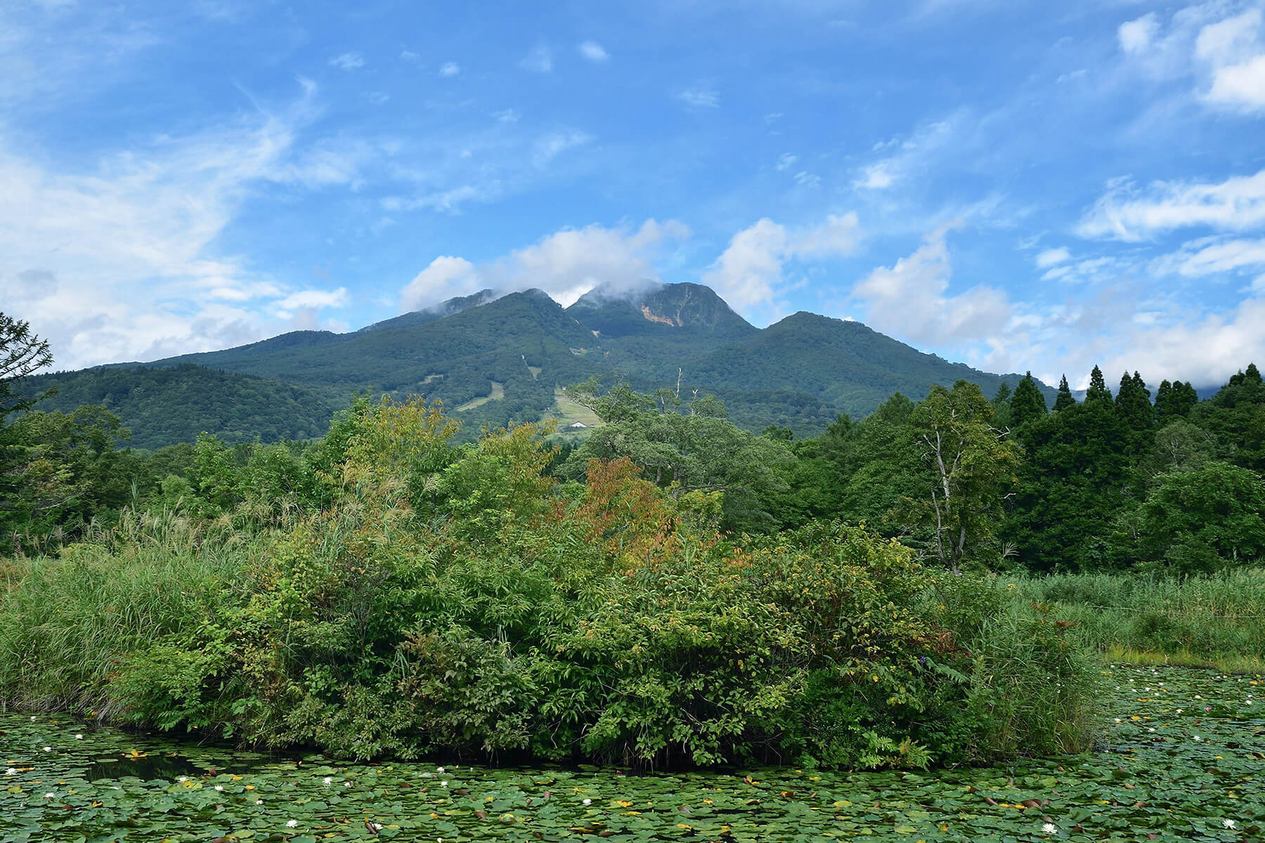 赤倉温泉 お宿ふるや — 妙高市・赤倉 · 自家源泉と妙高山を望む湯宿