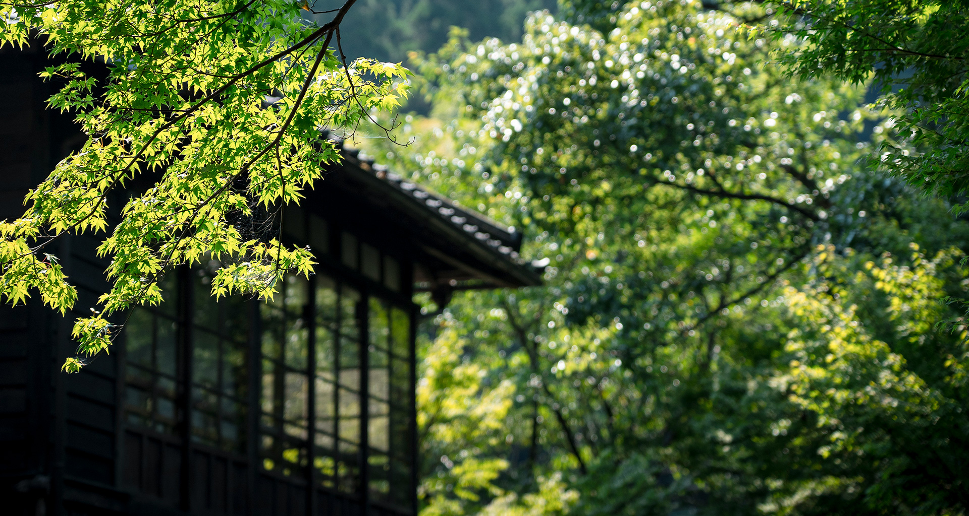 おりはし旅館 — 鹿児島県霧島市牧園町 · 明治十二年創業、十三の露天付き離れ客室を擁する新川渓谷の老舗旅館