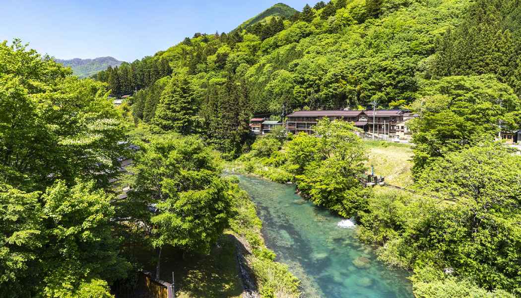 柏屋旅館 — 群馬・四万温泉 新湯・1950年創業、貸切露天3つを擁する15室の老舗旅館