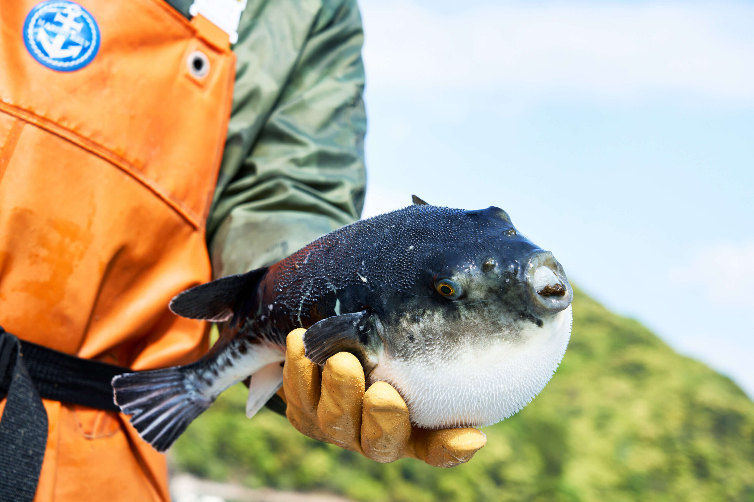 若狭佳日 — 福井県小浜市阿納 · 御食国の海と地の食材を組む十三室の食通宿