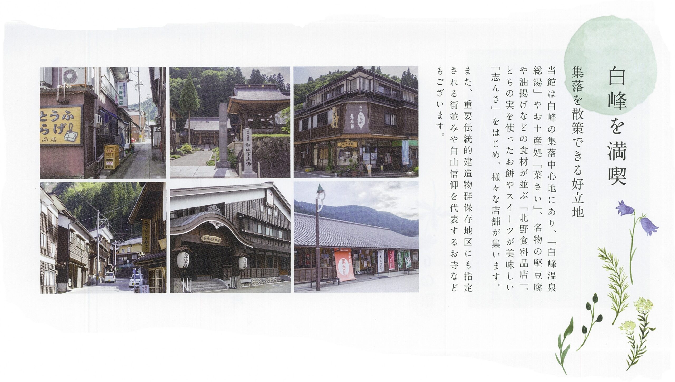 白峰温泉 白山苑 — 白山市白峰 · 白山を望む雪国の湯宿