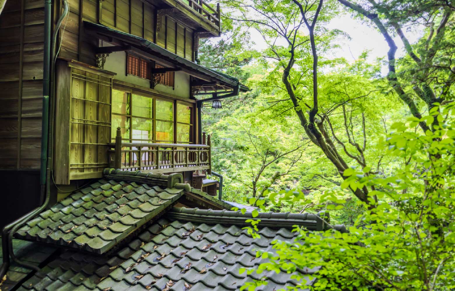 元湯 環翠楼 — 神奈川県箱根町塔之沢 · 新緑に包まれた大正八年築の木造高楼建築
