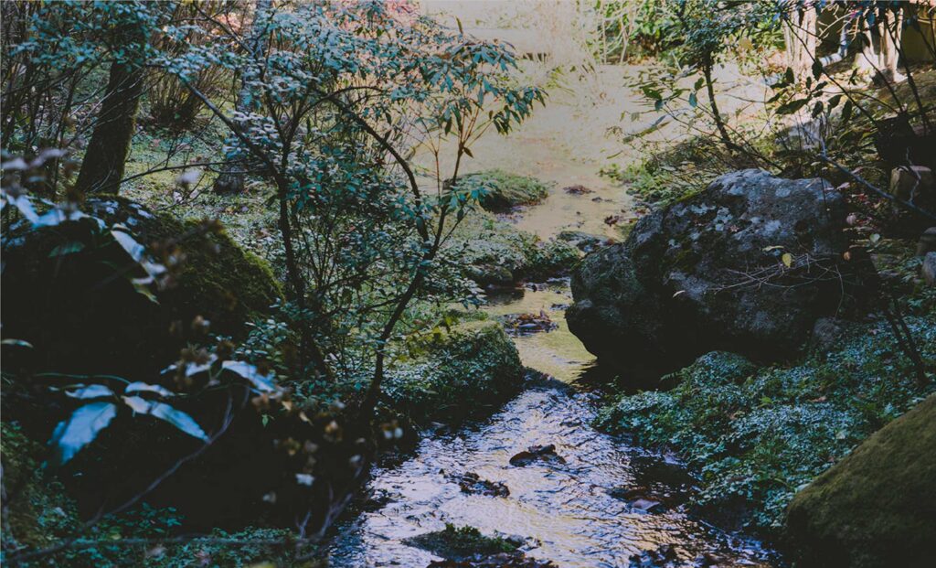 黒川温泉 山あいの宿 山みず木 — 南小国町・田の原川沿いに露天を張り出した渓の湯宿