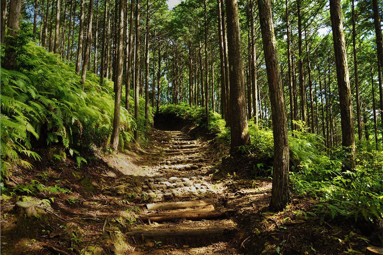 那智勝浦周辺 — 熊野三山・太地・那智の滝の拠点立地