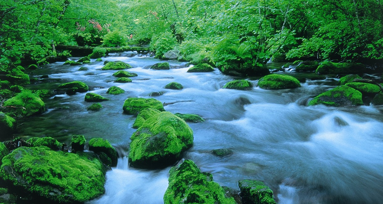 とわだこ賑山亭 — 秋田県小坂町十和田湖畔温泉 · 囲炉裏の炭火と二十四時間の湯をもつ木造の宿