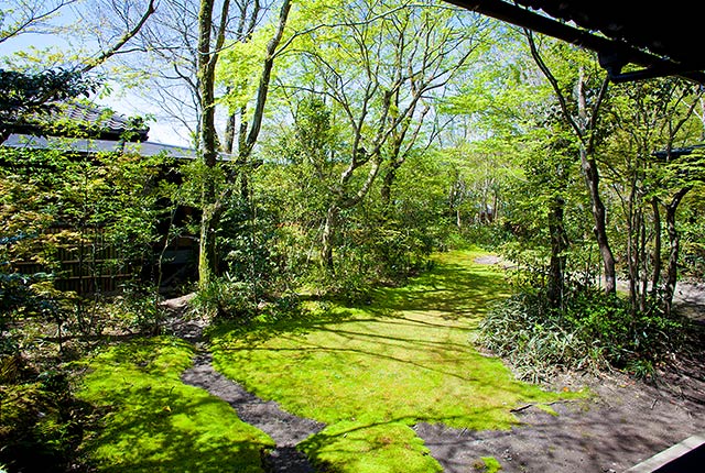 奥阿蘇の宿 やまなみ — 離れ客室と産山の田園風景