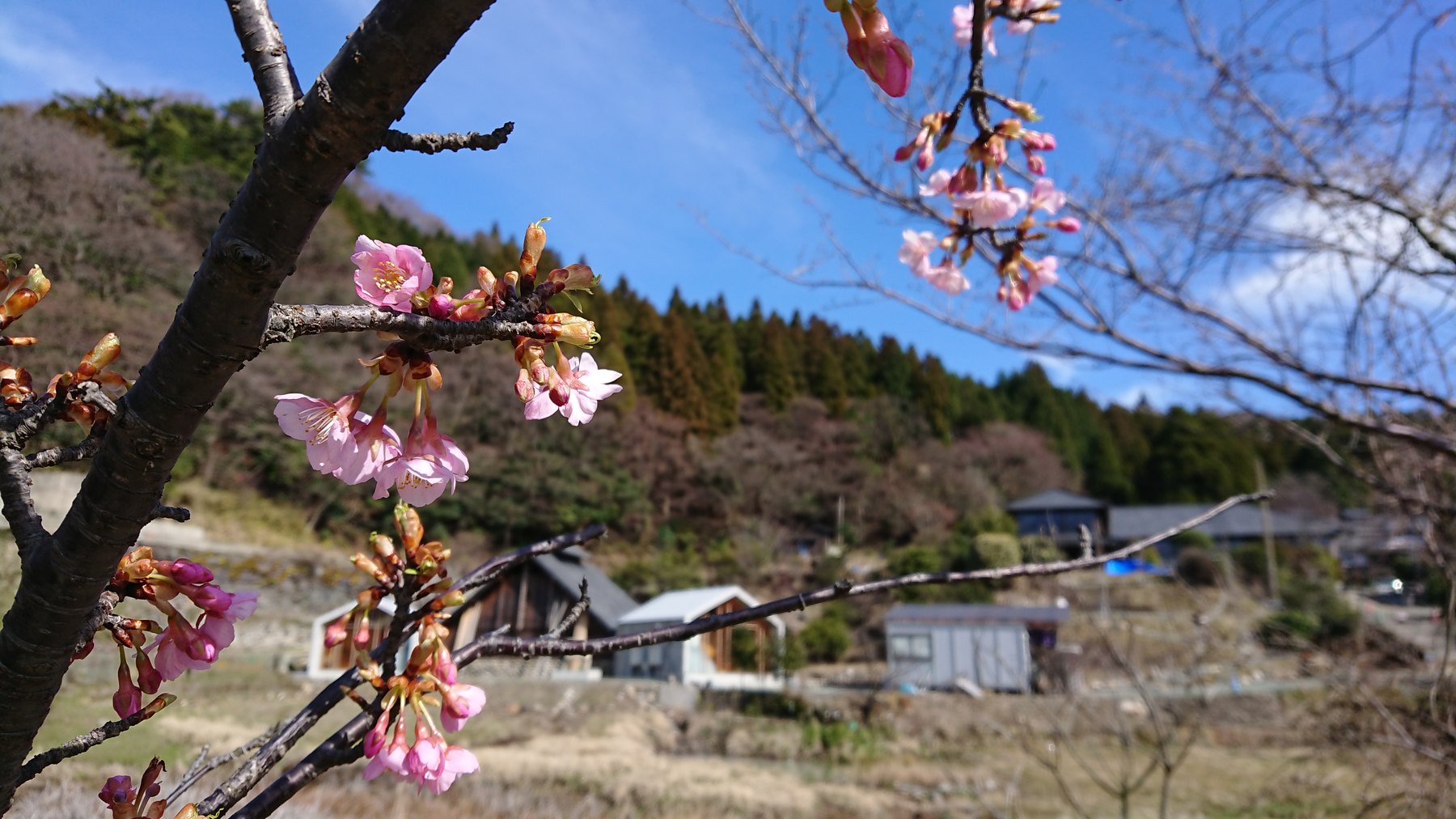 地獄温泉 青風荘． — 南阿蘇村・烏帽子岳南麓 · 享和期創業の湯治場の湯屋