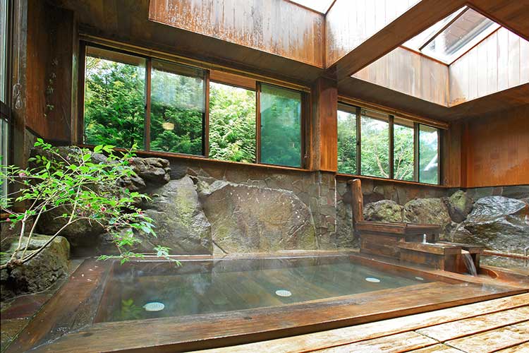 八ヶ岳名湯 唐沢鉱泉 — 茅野市豊平 · 森に面した木組みの内湯と二酸化炭素冷鉱泉