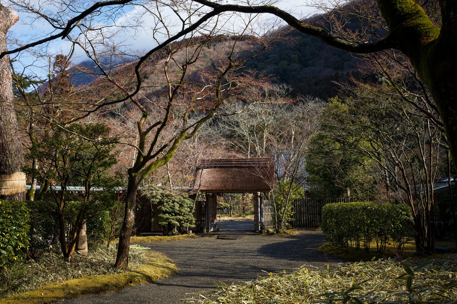 亀の井別荘 — 大分・由布院金鱗湖畔 · 落葉した庭木の奥に立つ茅葺の門と由布の山並み