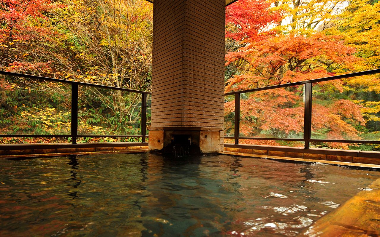湯主一條 — 宮城県白石市・鎌先温泉 · 紅葉の森に面した露天風呂