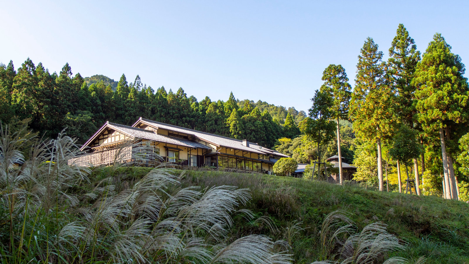 松永六感 藤屋 — 福井・小浜市門前 · 中央分水嶺の谷あいに建つ全五室の山宿、芒の斜面越しに見る母屋