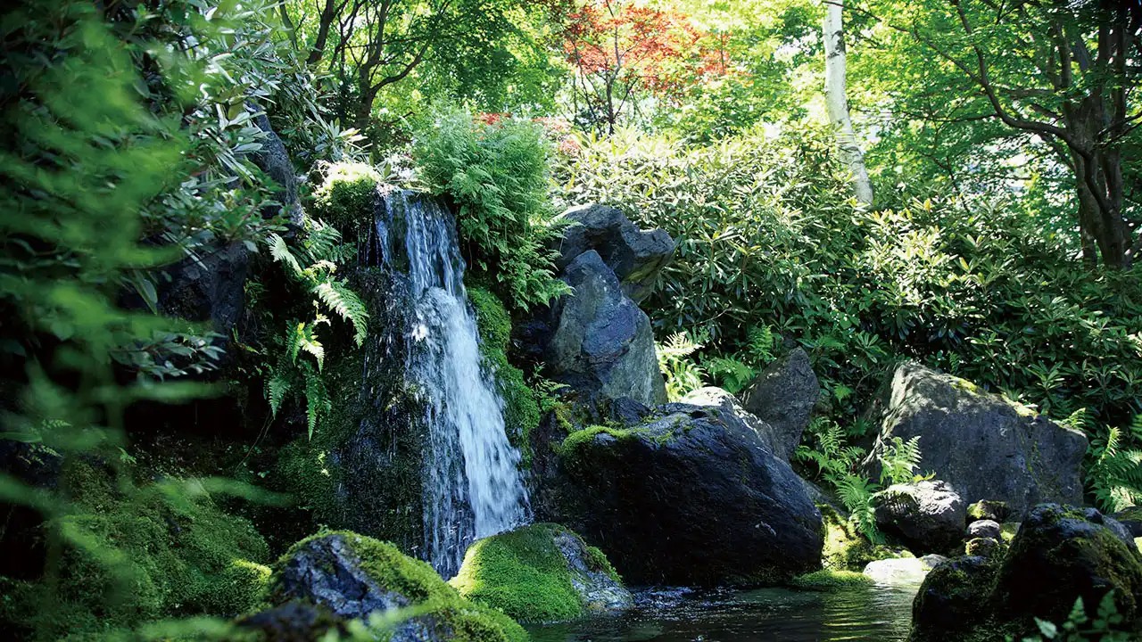 草津温泉 望雲 — 草津町・湯畑から徒歩3分 · 苔むす岩を落ちる中庭の滝